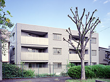 ドリーミー八雲新築工事